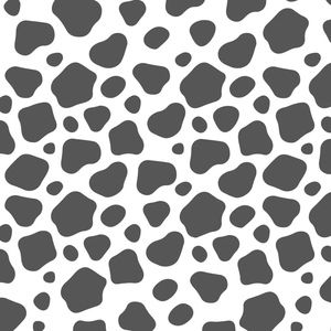 Meet your Posher, Gianna